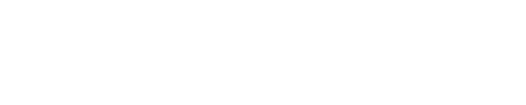Logo der Dualen Hochschule Schleswig-Holstein mit schwarzer Schrift auf weißem Hintergrund.